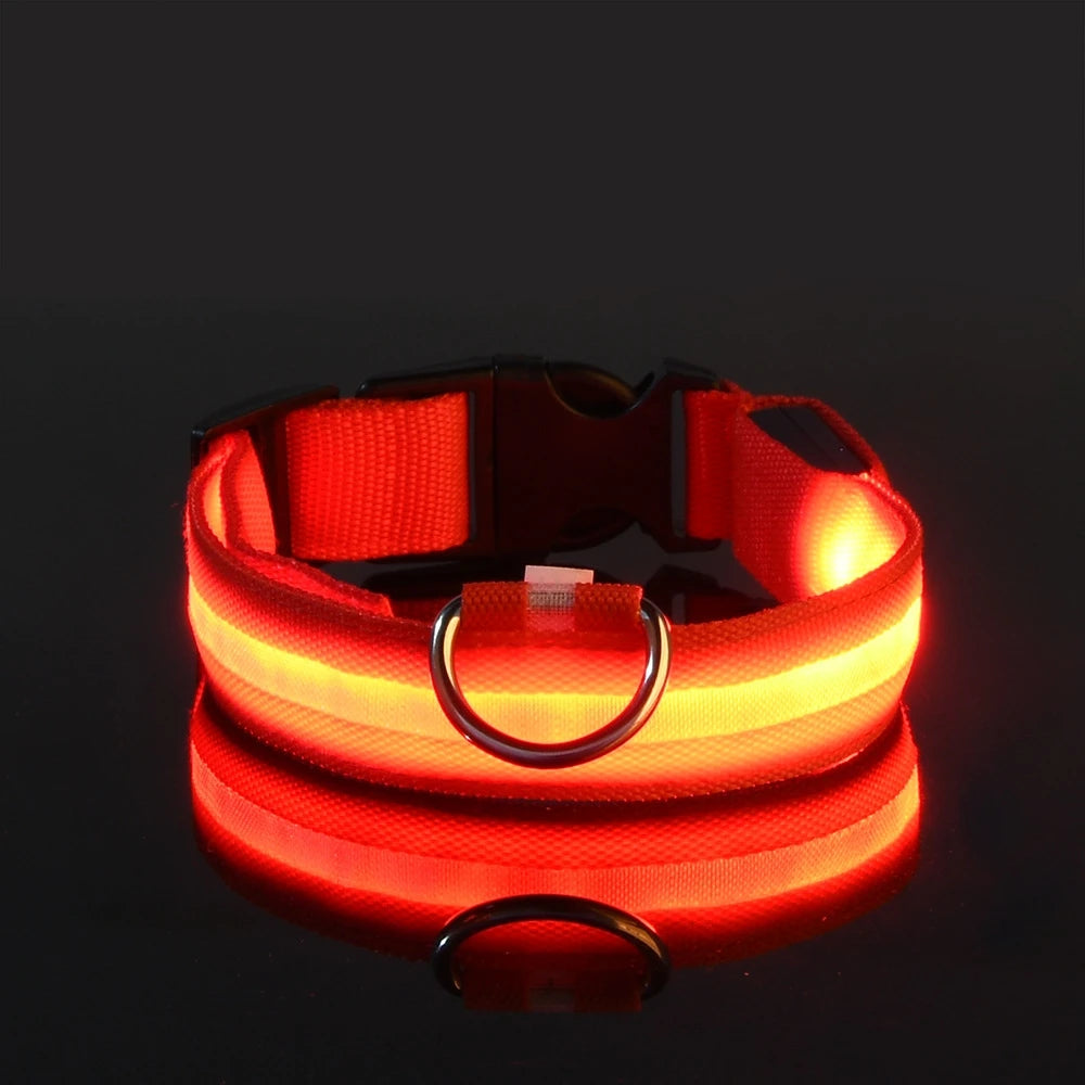 LumiPaw Dog Collar