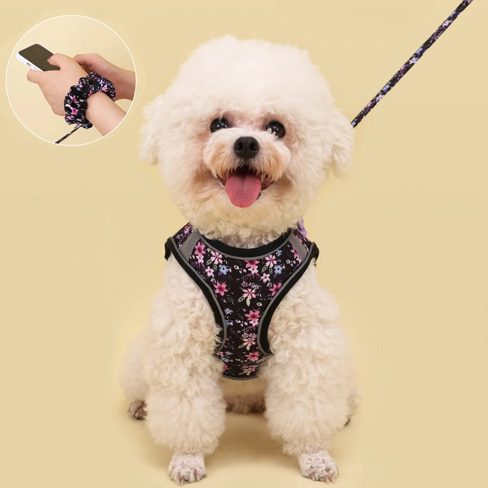 PawComfort Harness Set
