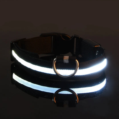 LumiPaw Dog Collar