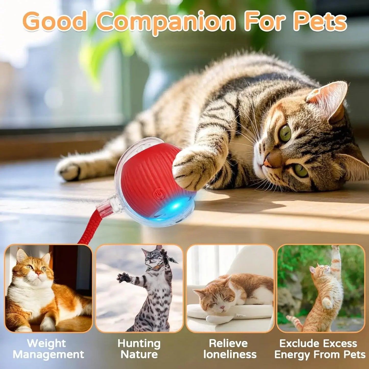 Smart Rolling Cat Ball Toy