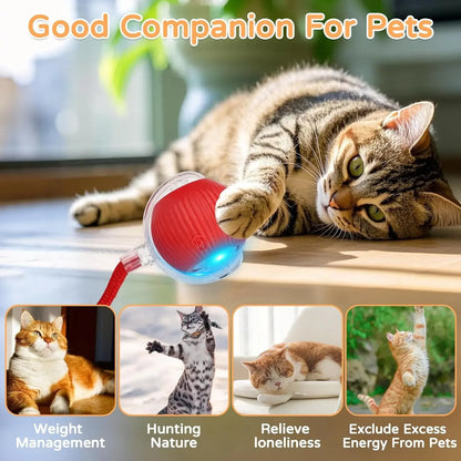 Smart Rolling Cat Ball Toy