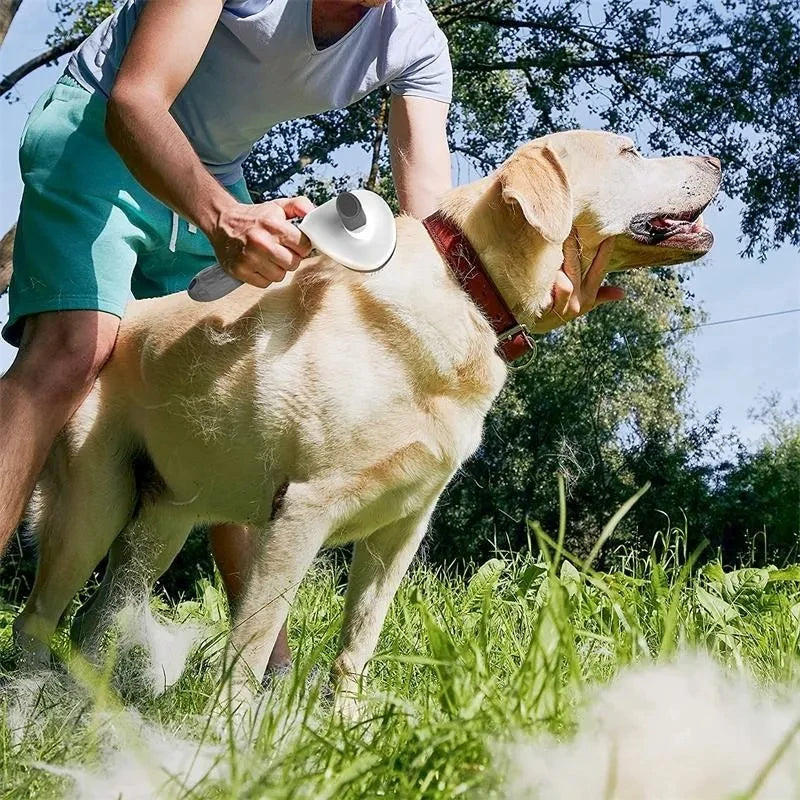 Pet Dog Brush Cat Comb Self
