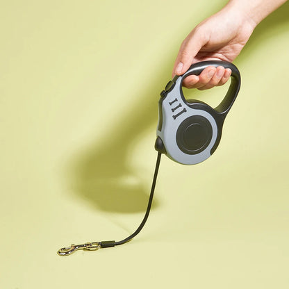 Strong Nylon Dog Lead