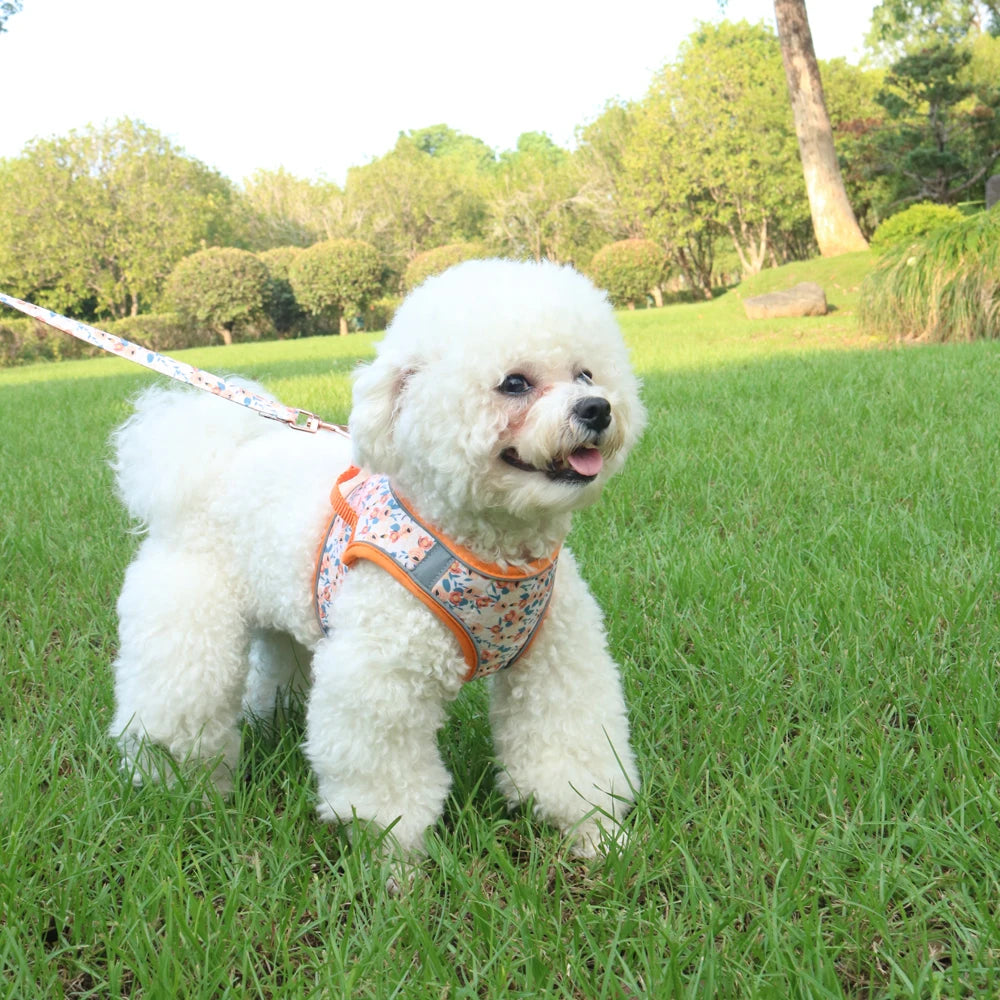 PawComfort Harness Set