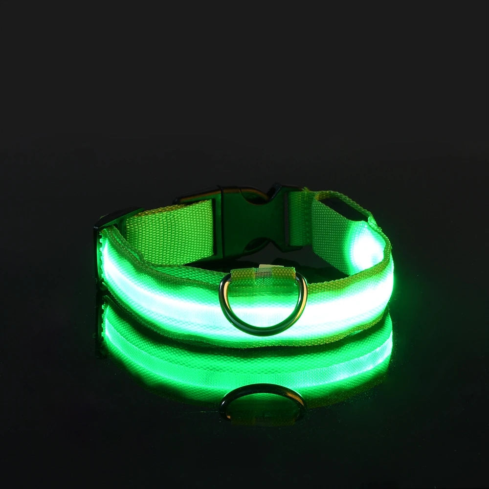 LumiPaw Dog Collar