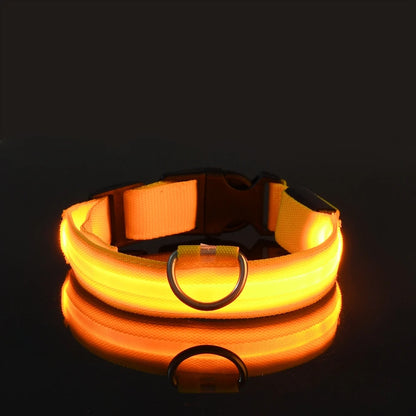 LumiPaw Dog Collar