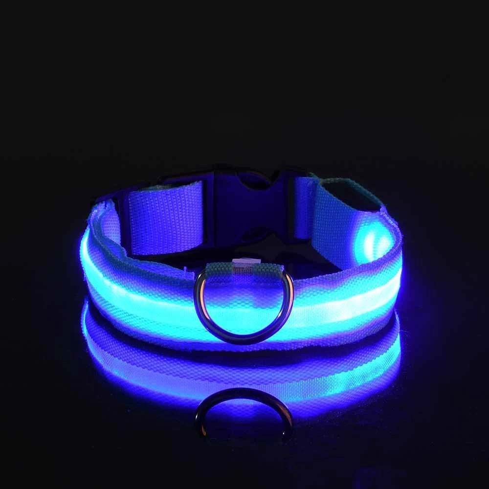 LumiPaw Dog Collar