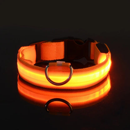 LumiPaw Dog Collar