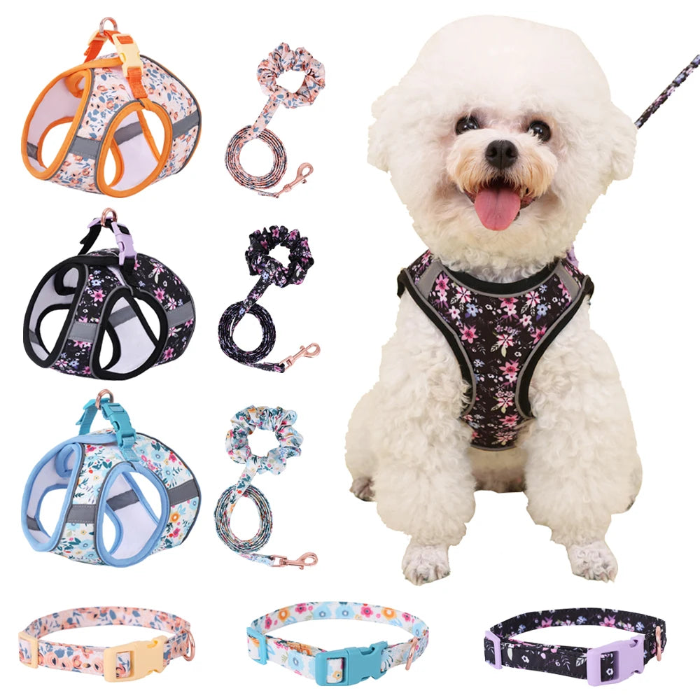PawComfort Harness Set