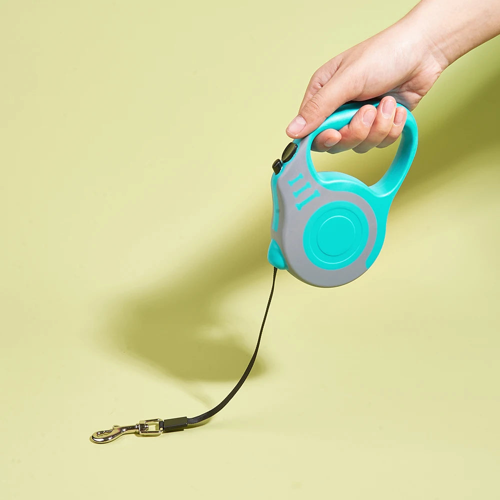Strong Nylon Dog Lead