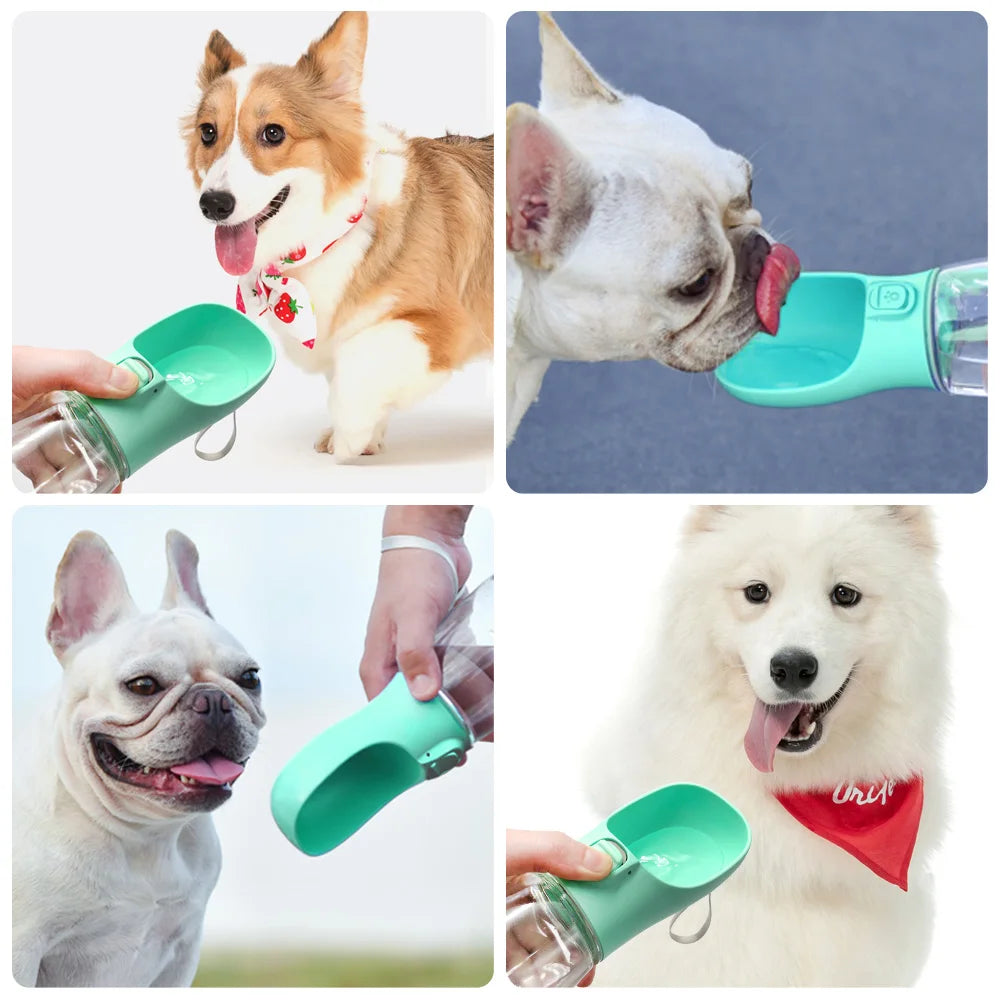 HydraPaws Pet Water Bottle