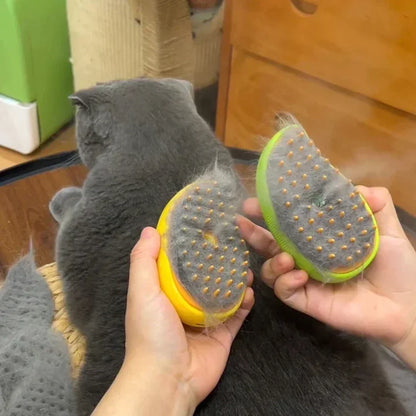 PetSpa Steam Massage Brush