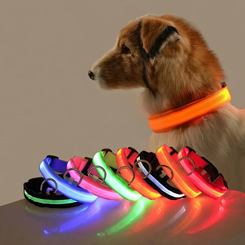LumiPaw Dog Collar