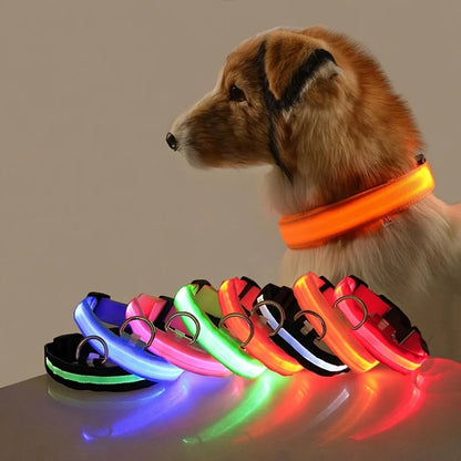 LumiPaw Dog Collar