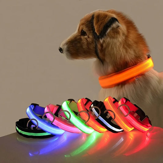 LumiPaw Dog Collar