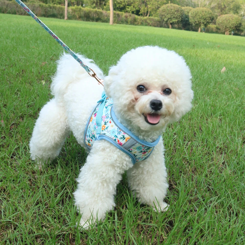 PawComfort Harness Set