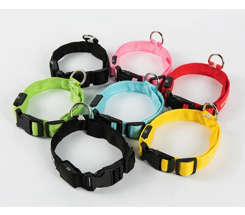LumiPaw Dog Collar
