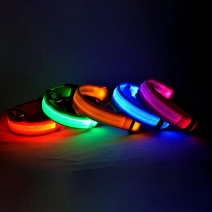 LumiPaw Dog Collar
