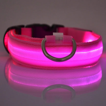 LumiPaw Dog Collar