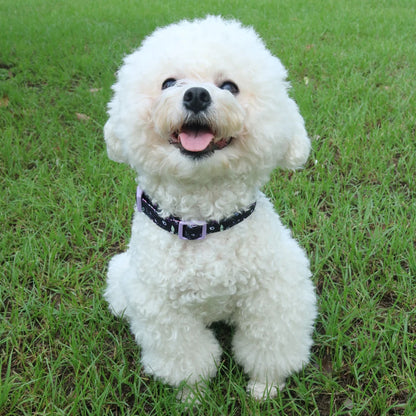 PawComfort Harness Set
