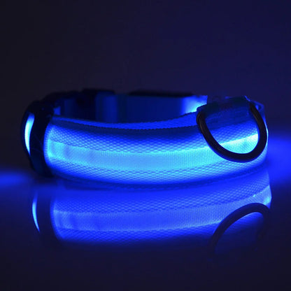 LumiPaw Dog Collar