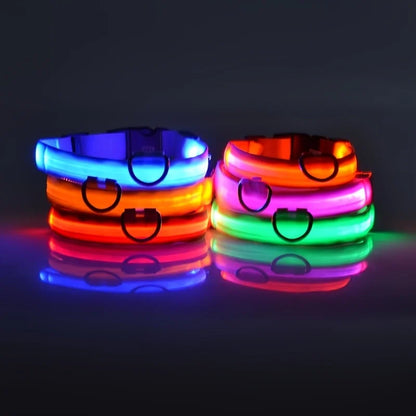 LumiPaw Dog Collar