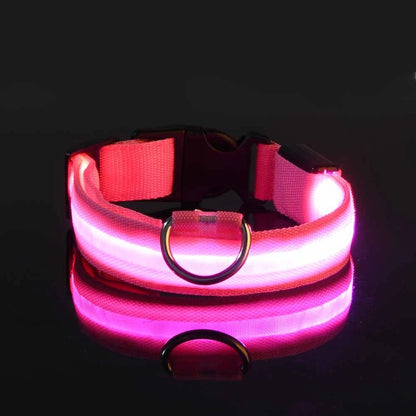 LumiPaw Dog Collar