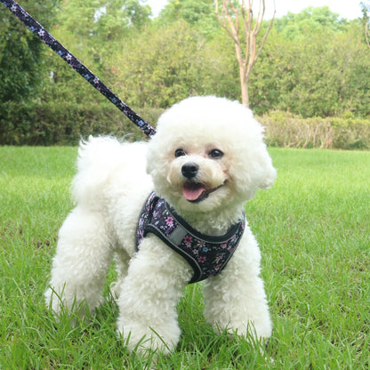 PawComfort Harness Set
