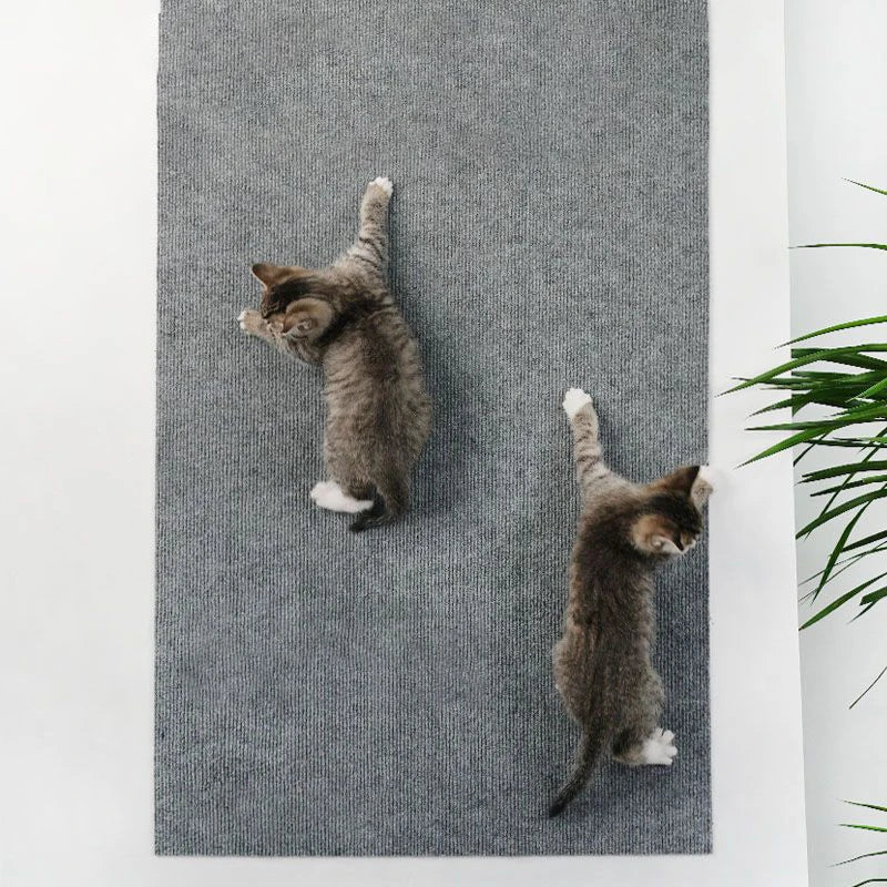 ScratchGuard Cat Mat
