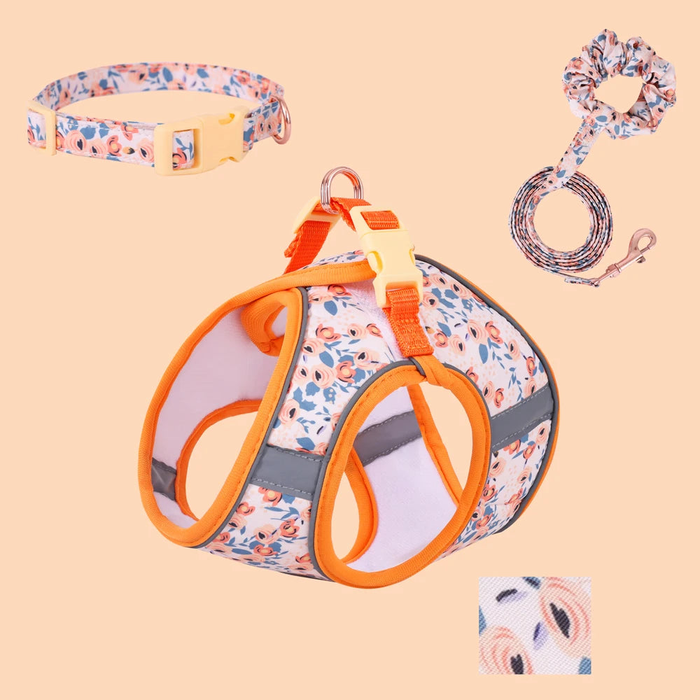 PawComfort Harness Set