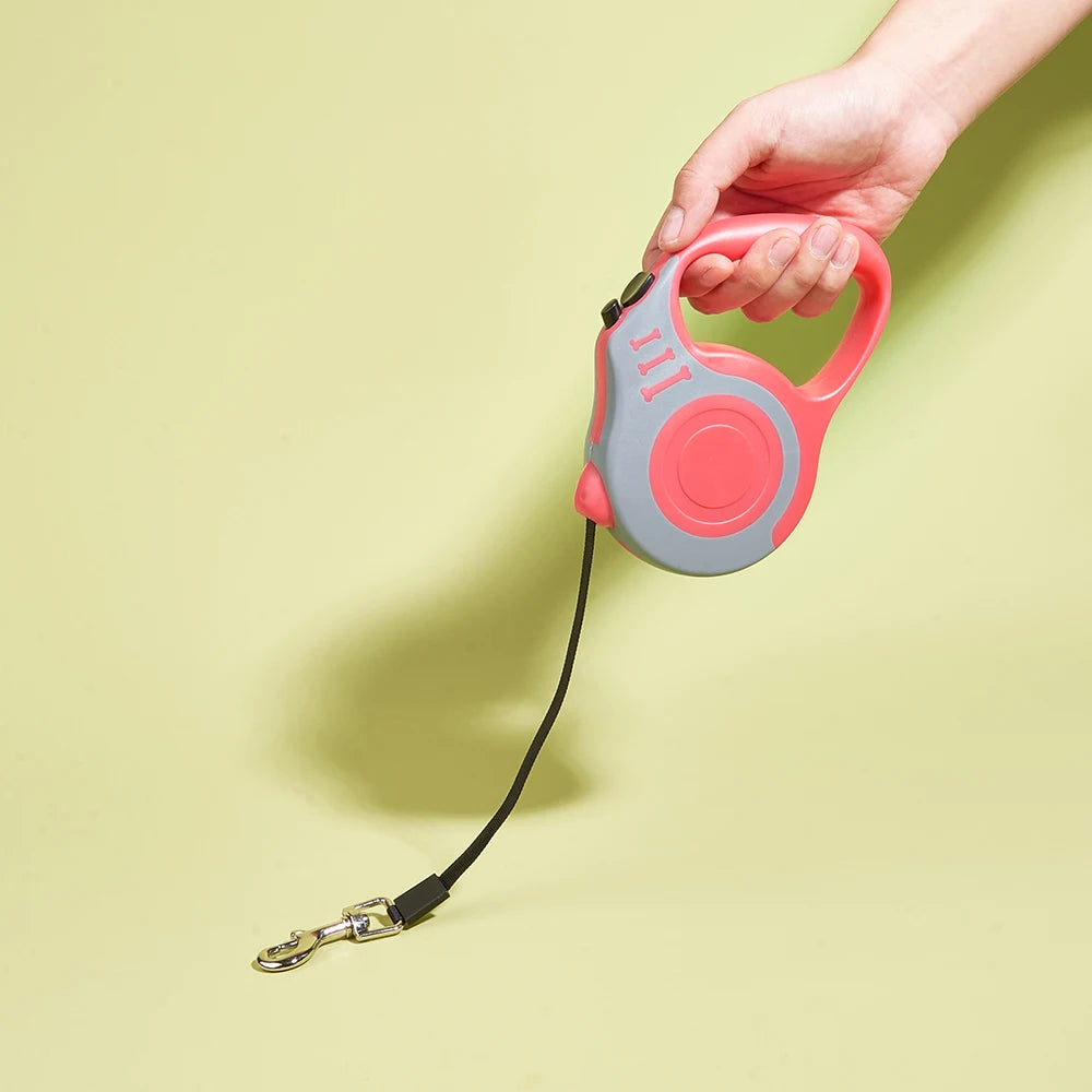 Strong Nylon Dog Lead