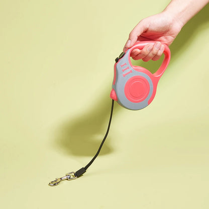 Strong Nylon Dog Lead