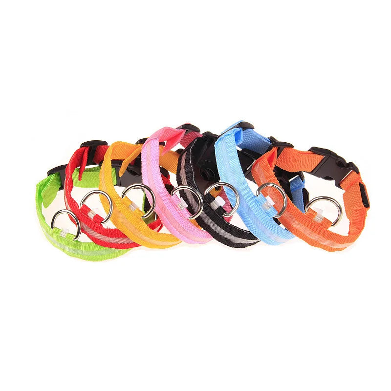 LumiPaw Dog Collar