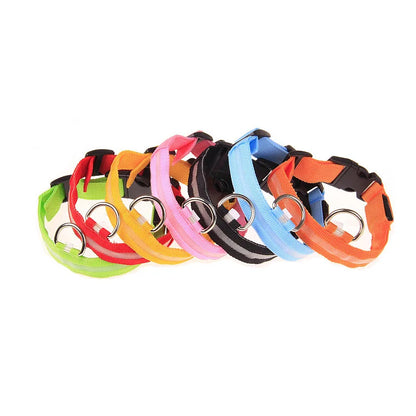 LumiPaw Dog Collar