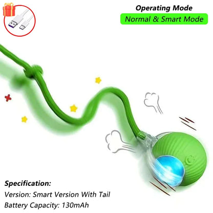 Smart Rolling Cat Ball Toy