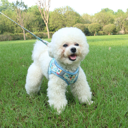 PawComfort Harness Set